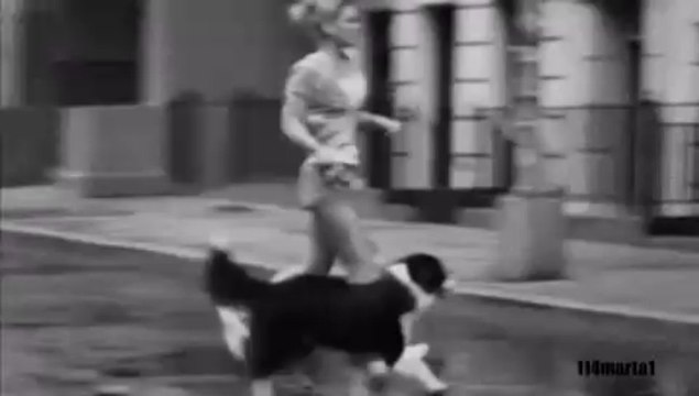 Sumptuastic - Bo Mam Ciebie