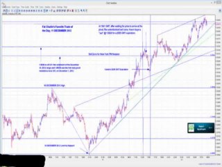 Winner Binary Signals - Review