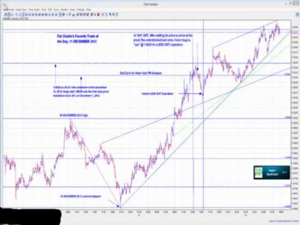 Winner Binary Signals - Review