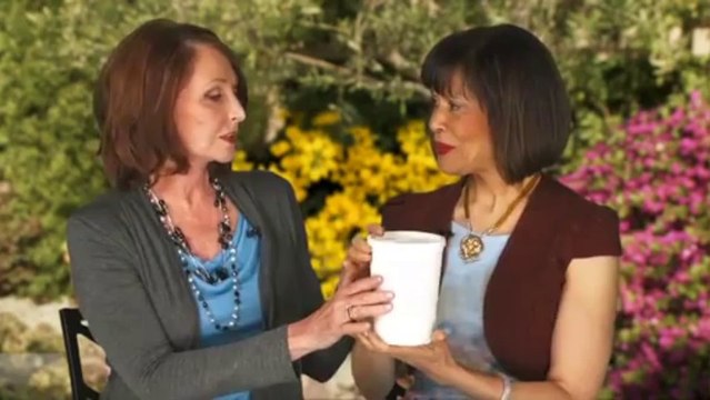 Healing Quest: Bone Broth and Water Filtration