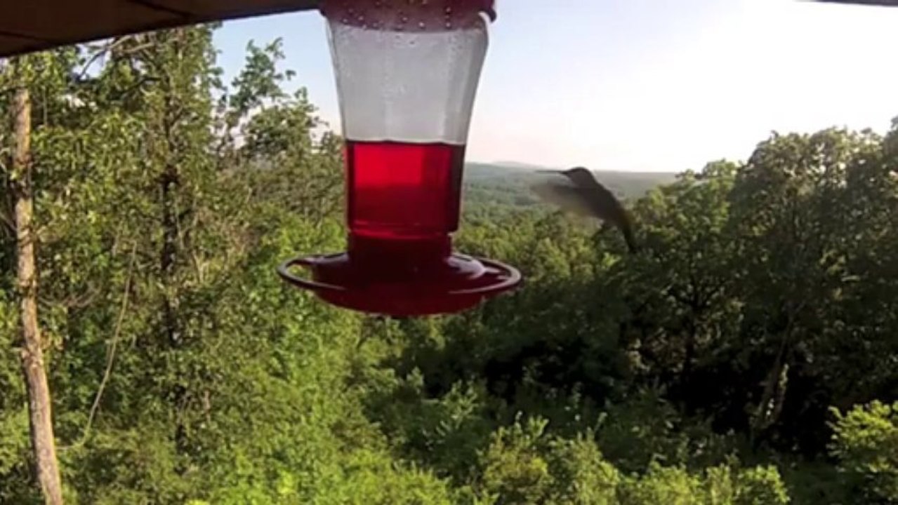 Hummingbird Project GoPro HERO3