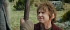 The Hobbit : The Desolation of Smaug - TV Spot #2 [VO|HD]