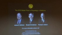 Two Americans, one German take home Nobel medicine prize