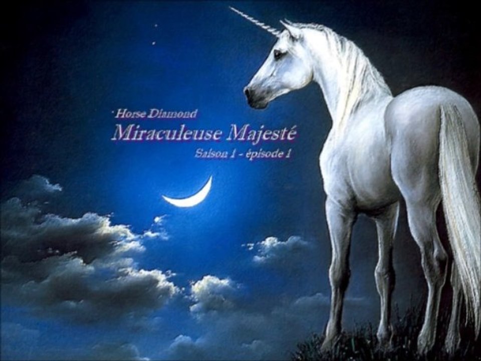 1x01 - Miraculeuse Majesté