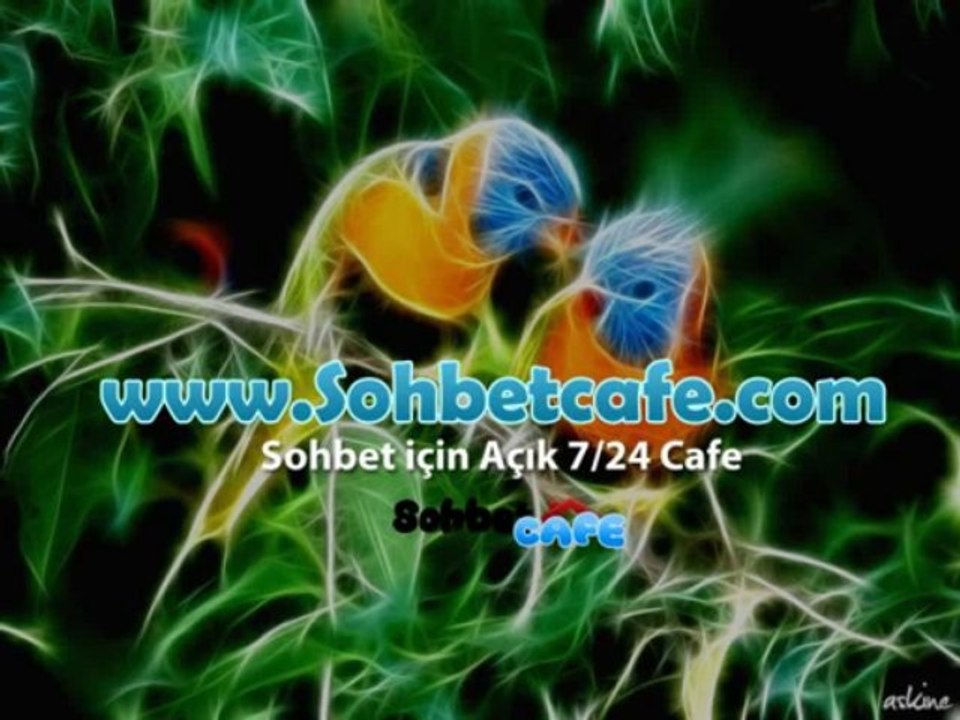 Tunceli Sohbet