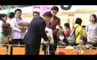 The 2013 Kinki international dog show Examination pattern of Bichon frise  JAPAN