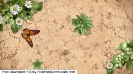 I found a risk free download of Regserve PDF and a potential discount