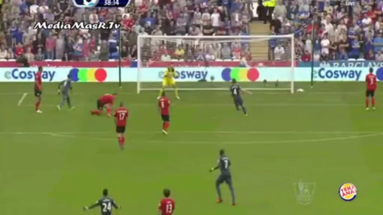 أهداف مباراة كارديف سيتي 1-2 نيوكاسيل يونايتيد - 5/10/2013