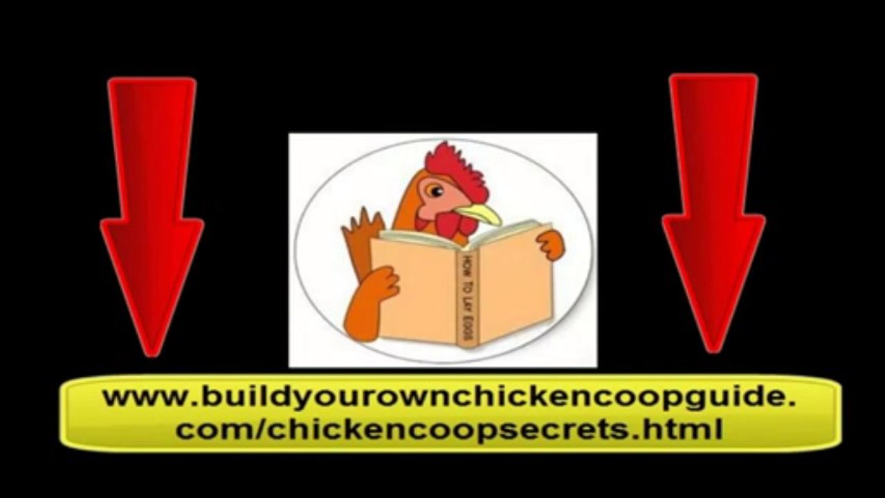 "backyard chicken coop":Guide to building a chicken coop