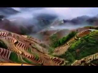 Sefa Consulting - ¿Que es el Feng Shui?