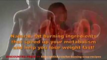 [DISCOUNTED PRICE] Fat Burning Soup Recipes Review - Fat Burning Soup Recipes Ebook PDF Download