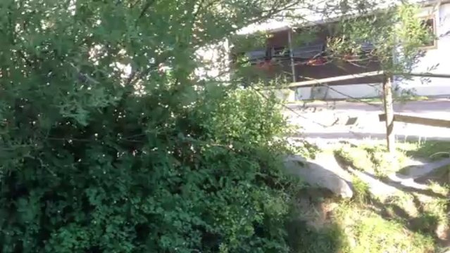 Hotel Reiterhof Runding Bayerischer Wald Onlinebuchung im Reisebüro Fella Hammelburg @ vip-reisen.de/hotels_+_wellness_weltweit,_sprachreisen,_hotels_mit_bahnfahrt Tel. 09732-2600 Email info@fella.de ab 18.30 Uhr und am Wochenende unter 0171-2731