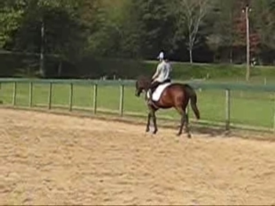 October Dressage Lesson
