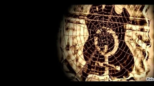 Louis Bertignac un Solo de Guitare l'immense talent du musicien .♥