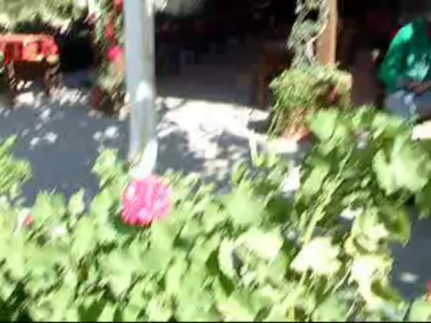 FILM VIDEO VOYAGE EN CRETE