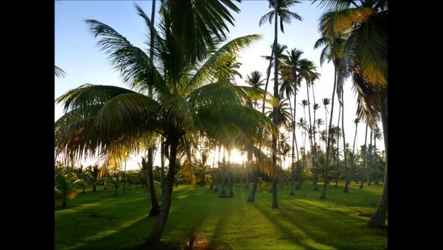CLUB MED 2013 LES BOUCANIERS LA COCOTERAIE