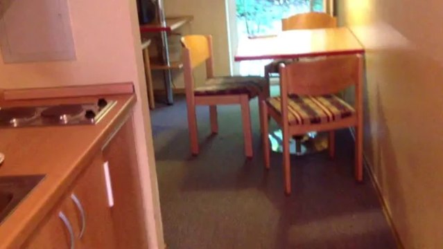 Hotel Reiterhof Runding Bayerischer Wald Onlinebuchung im Reisebüro Fella Hammelburg @ vip-reisen.de/hotels_+_wellness_weltweit,_sprachreisen,_hotels_mit_bahnfahrt Tel. 09732-2600 Email info@fella.de ab 18.30 Uhr und am Wochenende unter 0171-2731