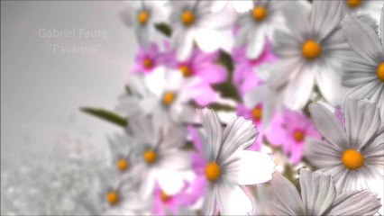 Musiques pour enterrement et crémation