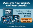 The Panic Puzzle - End Panic And Anxiety Attacks Review