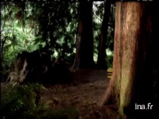 Pokémon Or et Argent