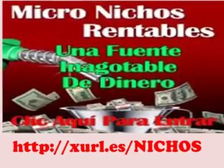 micro nichos rentables