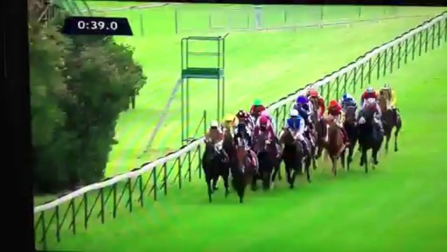 2013 Qatar Prix de l´Arc de Triomphe (Treve)