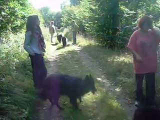 6 octobre 2013 : balade en forêt avec Lou et Irpa