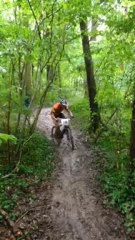 VTT de verrière