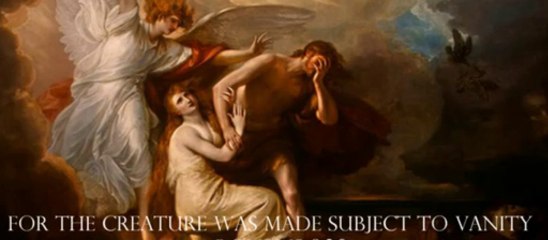 The Cure for Acne/Rosacea - Caveman Regimen