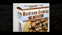 Mushroom Growing 4 You - mushrooms growing kits