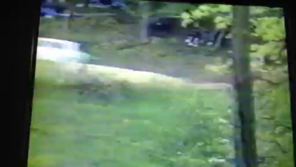 cc issoire vidal.t simca1000