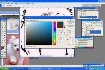 Episode Four : Bichon Frise