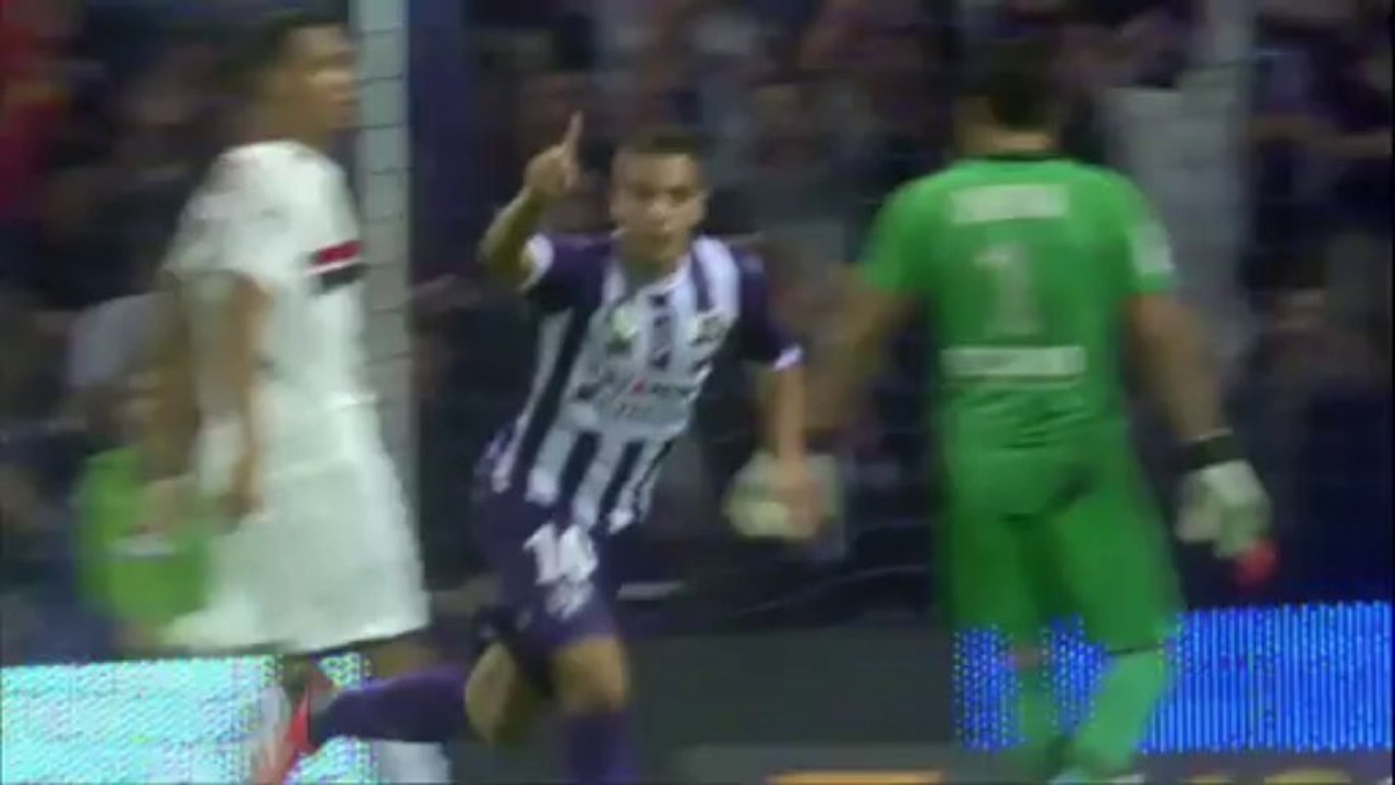 Toulouse FC (TFC) - OGC Nice (OGCN) Le résumé du match (9ème journée) - 2013/2014