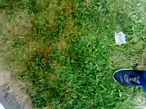 Trc Wallaroo @ Testbank Sbo Kloosterzande 25.6 pk