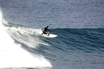 Total Surfing Fitness Review + Bonus