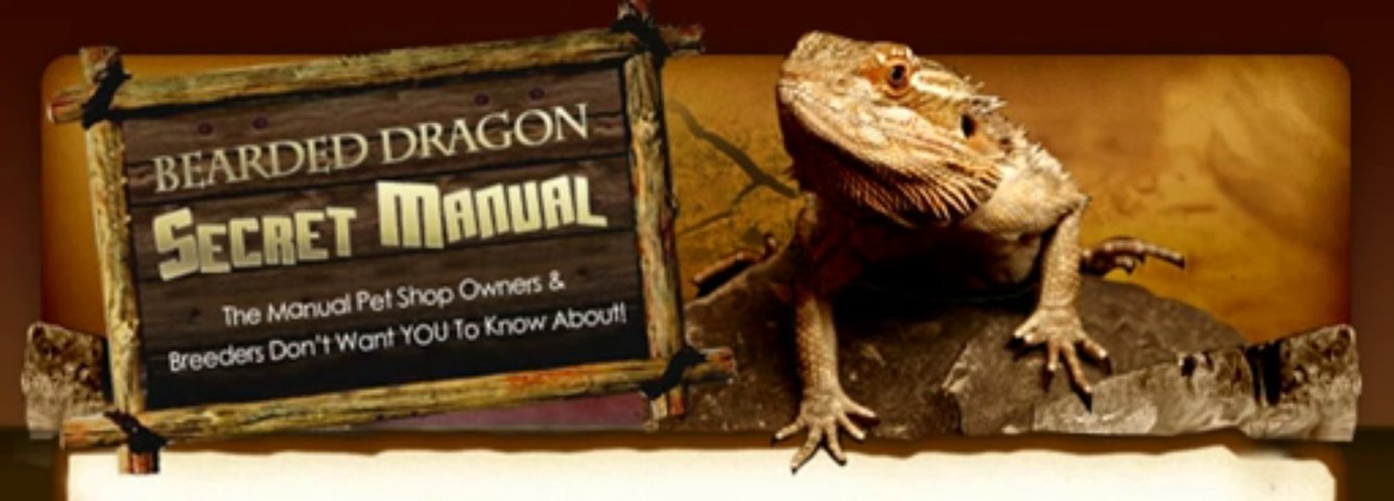 Secret Bearded Dragon Secret Manual Review + Bonus