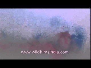 Amazing air show by the fighter jets