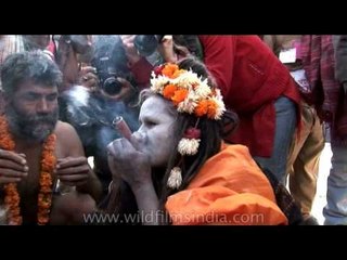 Holy people taking good hits from Chillum - Ardh Kumbh, 2007