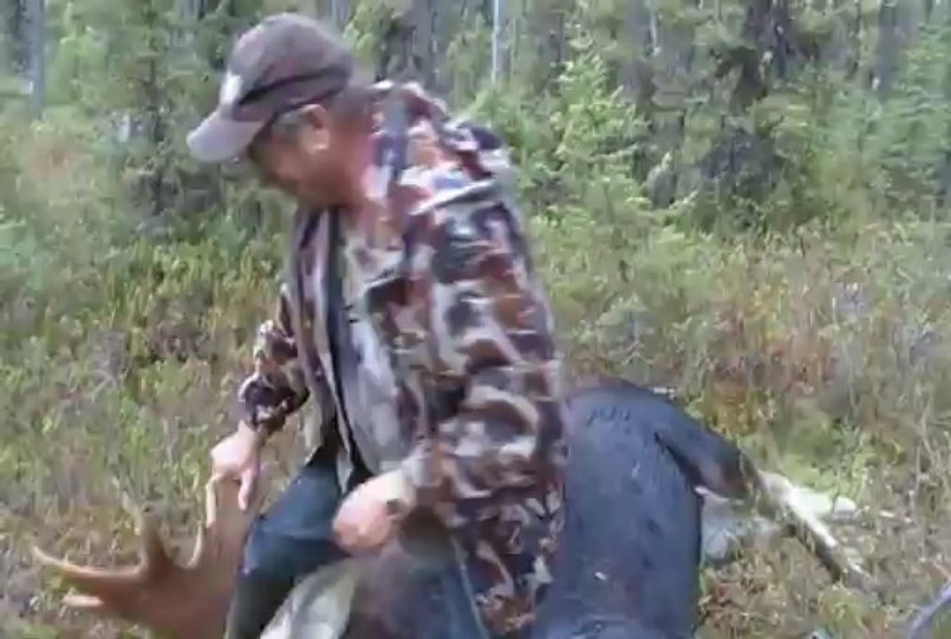 Chasse arbalète 2013