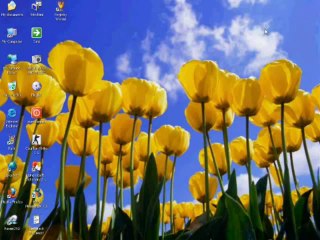 Download Registry Winner With License