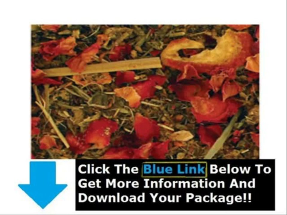 Lung Detoxification Exercises + The Complete Lung Detoxification Guide Download