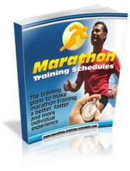 The 100 Day Marathon Plan Review + Bonus