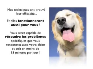 Comment dresser son chien en 15 minutes par jour