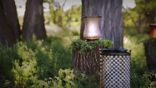 Scentsy Lampshade Warmers