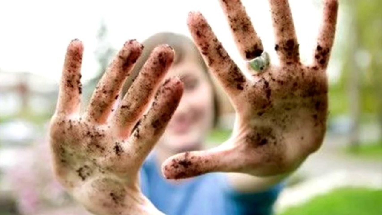 Urban Survival Guide - Public Toilets