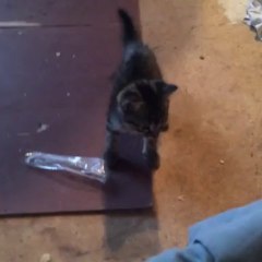 Mobile Capture Sep 25, 2013