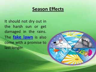 Fake Lawn as an Alternative of Natural Lawn By Simply Turf