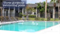 Confederate Point Apartments in Jacksonville, FL - ForRent.com