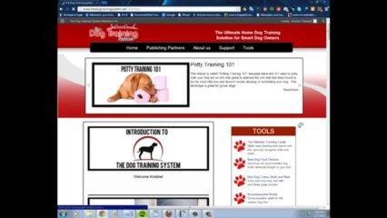 The Dog Training System