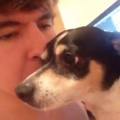 Am I the only one that does this to their pet